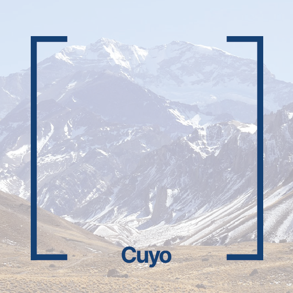 Delegación cuyo